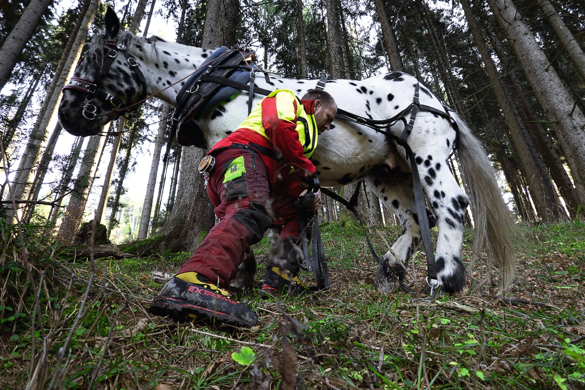 Waldarbeiter in Pfanner Bekleidung mit einem Pferd