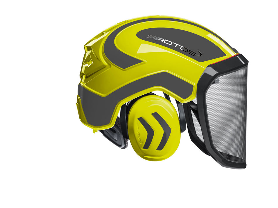 204000-23_2307_PROTOS_Forest