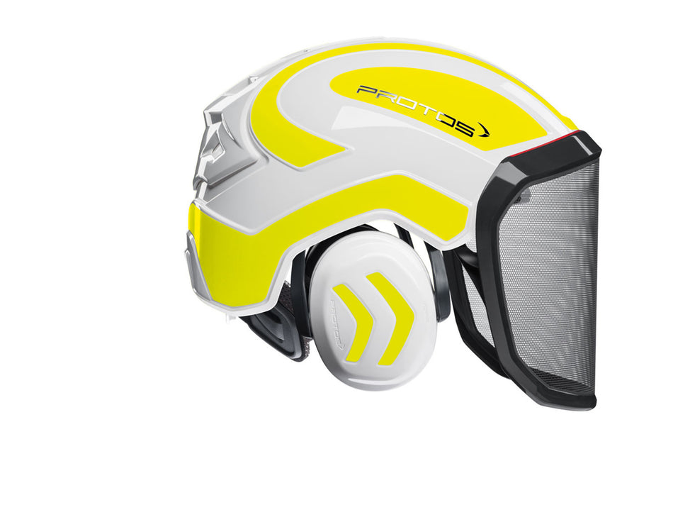 204000-72_2307_PROTOS_Forest