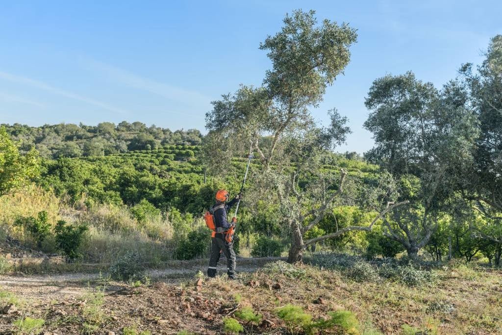 530iP4 ( 536LiP4) - Husqvarna®