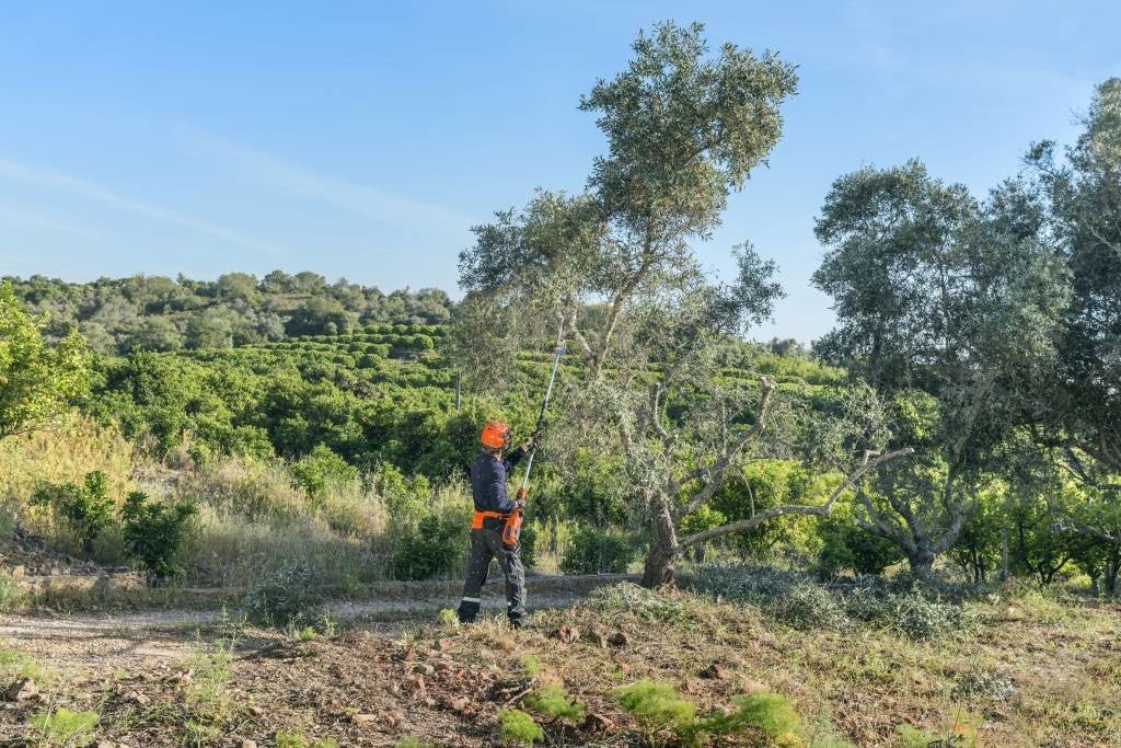 530iP4 ( 536LiP4) - Husqvarna®