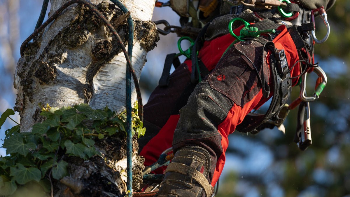 Deep Forest Schnittschutzhose in rot - Arbortec Forestwear