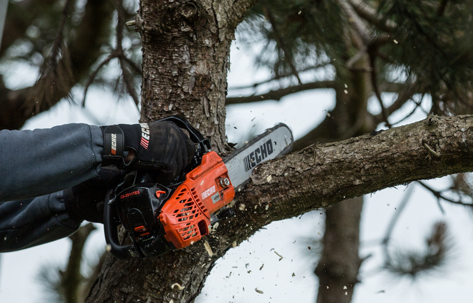 Echo Baumpflegesäge CS 2511TES