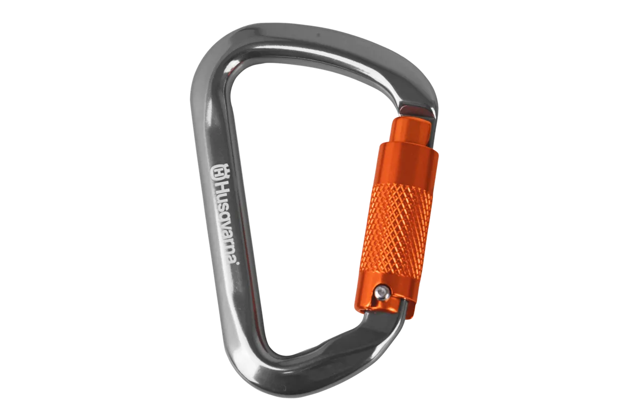 HSQ Karabiner D-Form