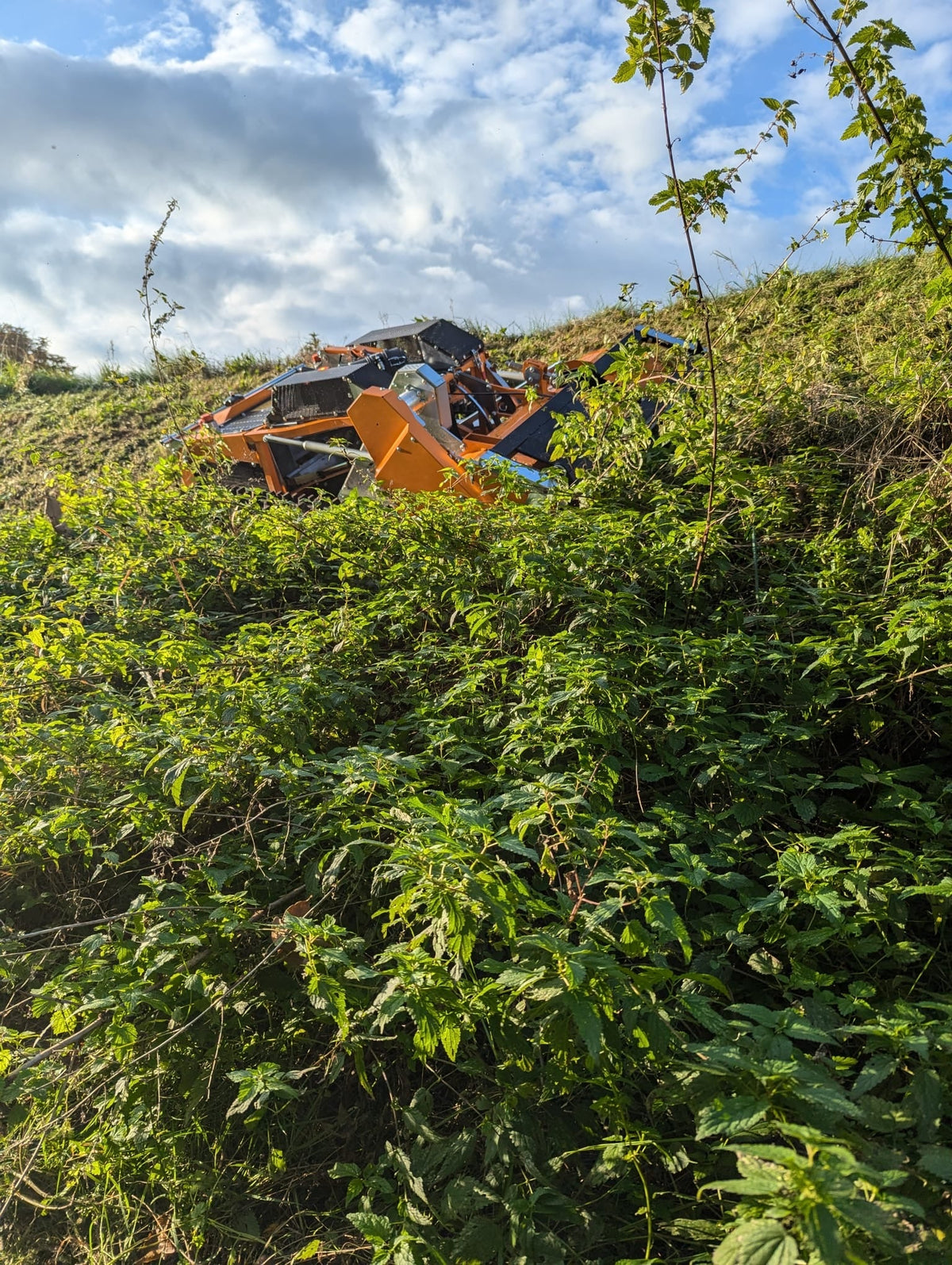 Mähraupe mieten im Erzgebirge, Chemnitz, Zwickau & Leipzig - AS-Motor